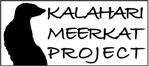 Kalahari Meerkat Project